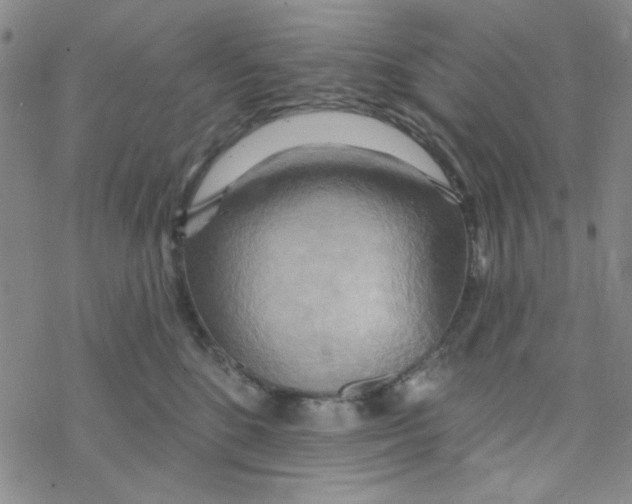 X0000068320520200605192036