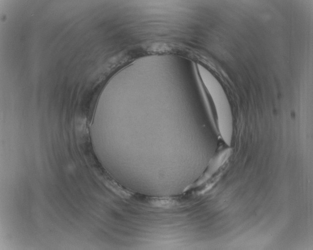 X0000068320521200605192036