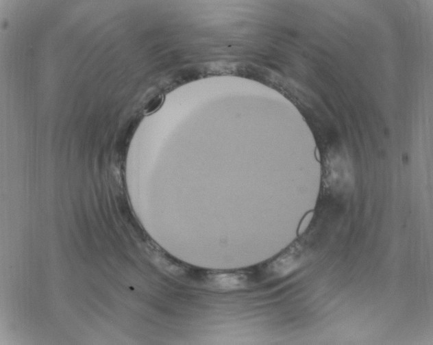 X0000068320522200605192036