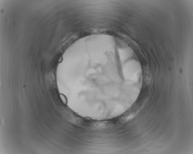 X0000068320523200605192036