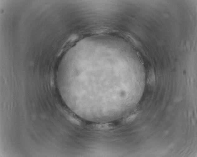 X0000068320524200605192036