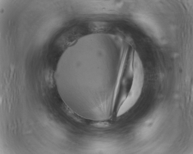 X0000068320525200605192036