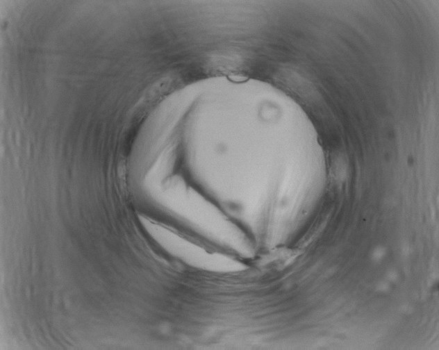 X0000068320526200605192036