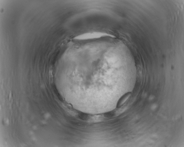 X0000068320527200605192036