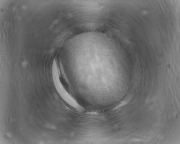 X0000068320528200605192036