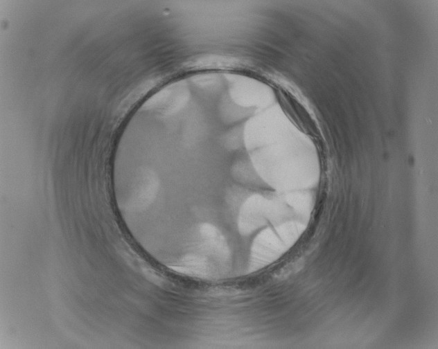 X0000068320529200605192035