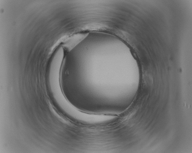 X0000068320530200605192035