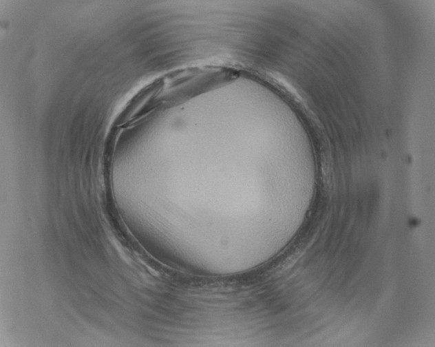 X0000068320532200605192035