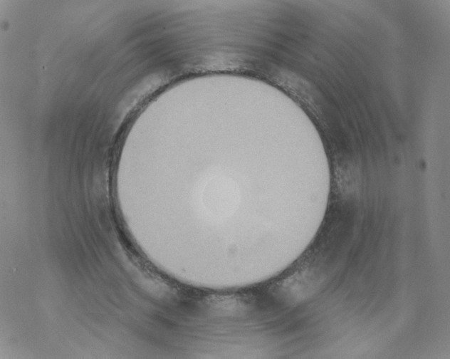 X0000068320534200605192035