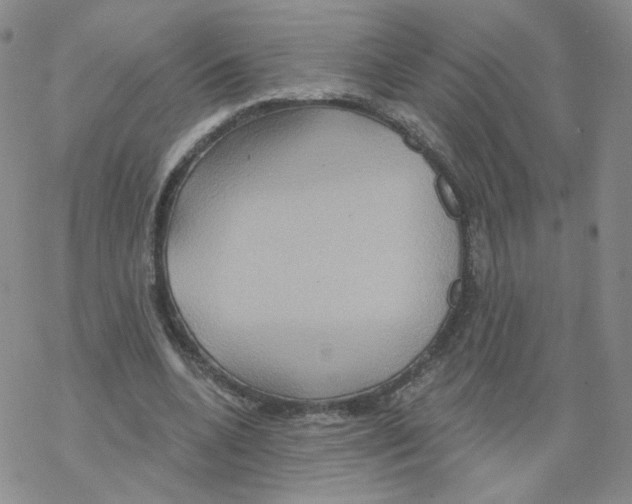 X0000068320536200605192035