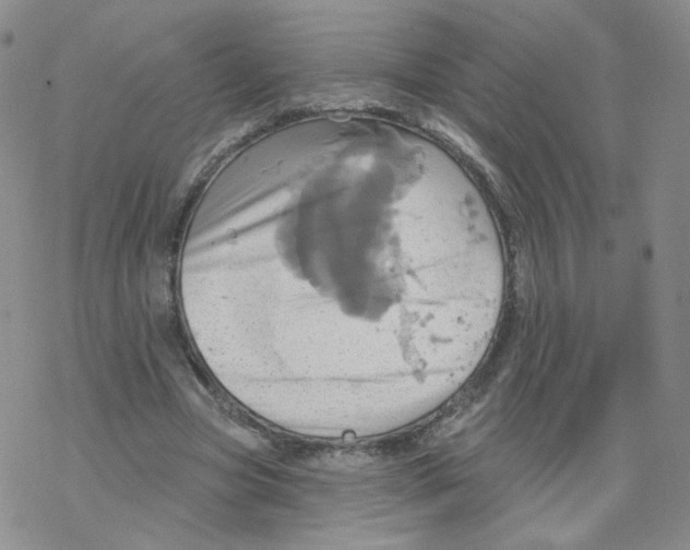 X0000068320537200605192035