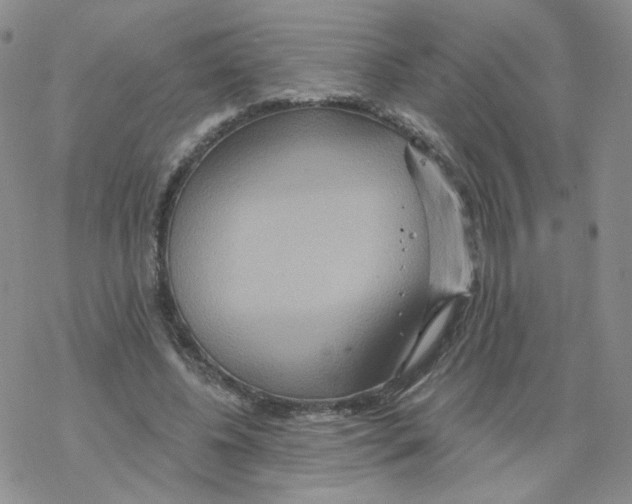 X0000068320540200605192035