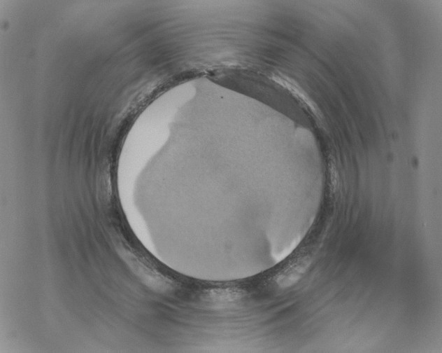 X0000068320541200605192035