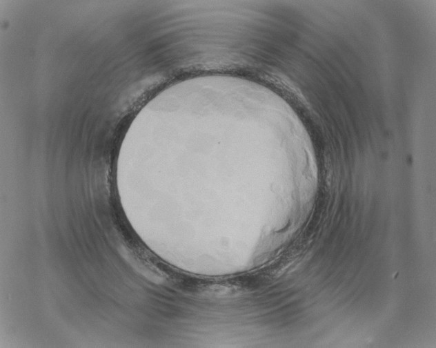 X0000068320542200605192035