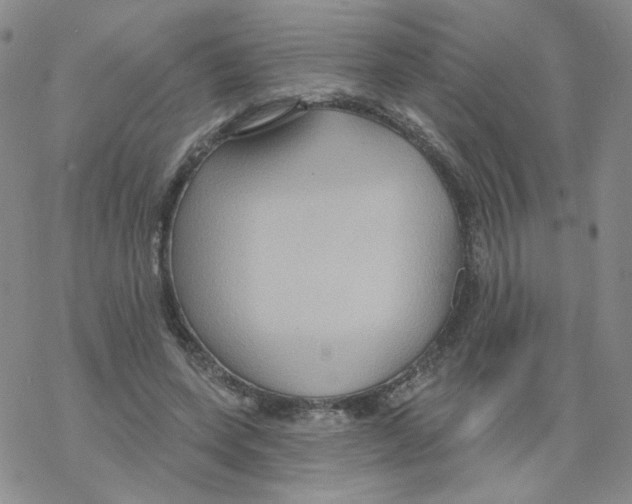 X0000068320543200605192035