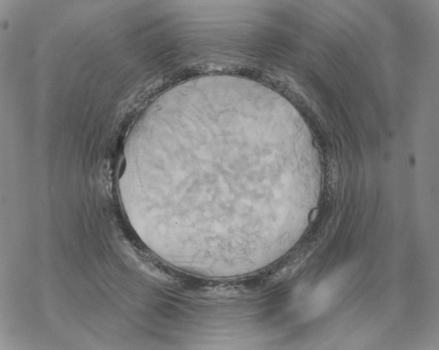 X0000068320545200605192035