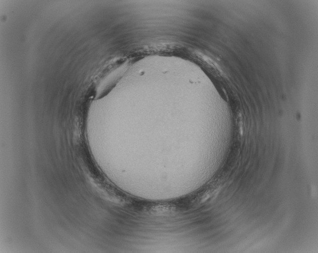 X0000068320546200605192036