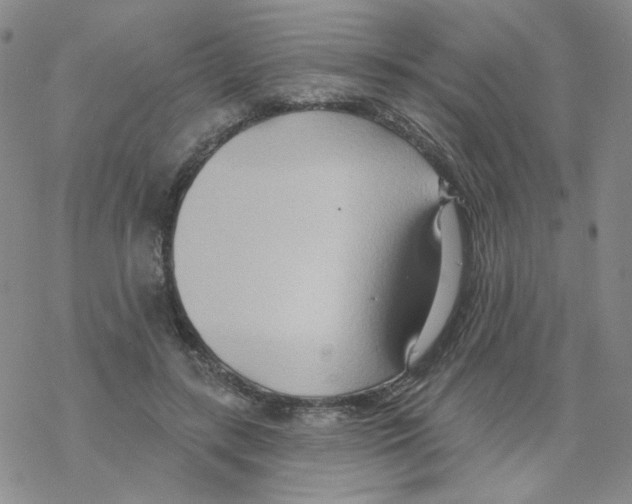 X0000068320547200605192036