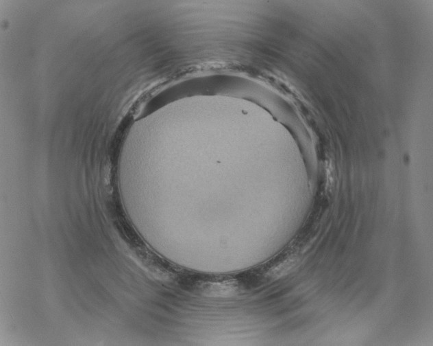 X0000068320548200605192036