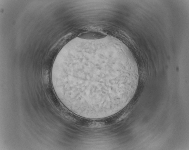 X0000068320549200605192036