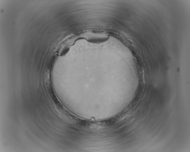 X0000068320550200605192036