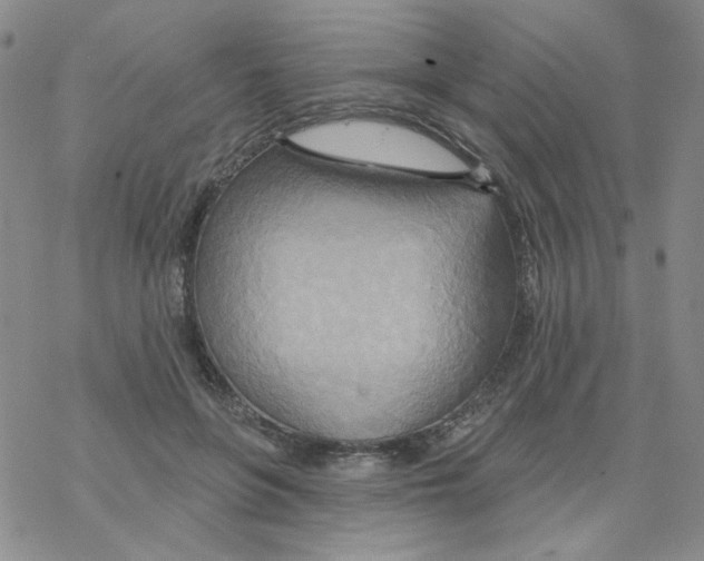 X0000068320551200605192036