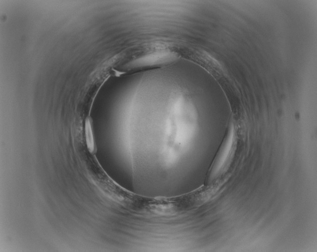 X0000068320552200605192036