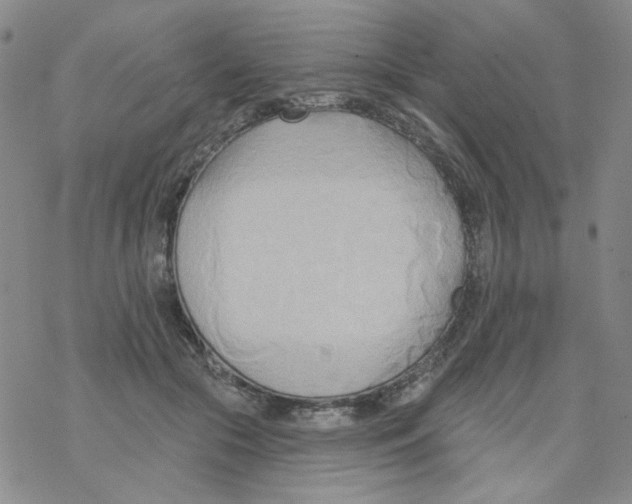 X0000068320553200605192036