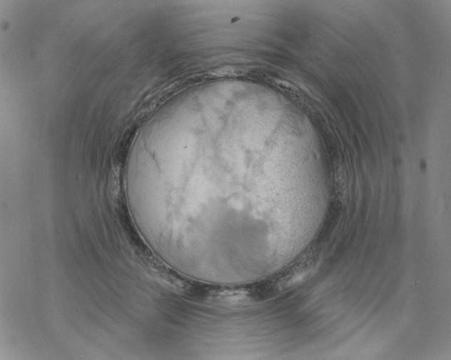 X0000068320554200605192036