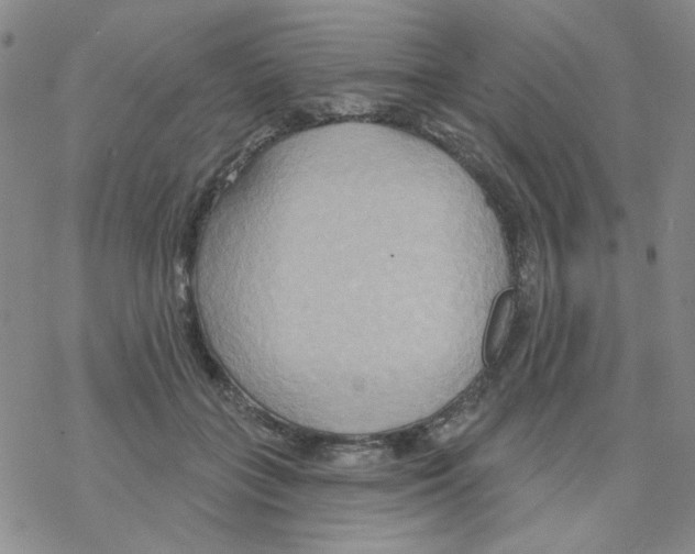 X0000068320555200605192036