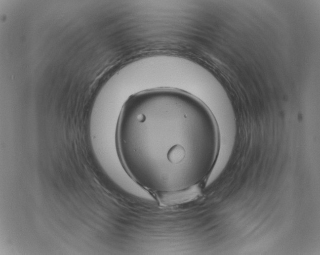 X0000068320556200605192036