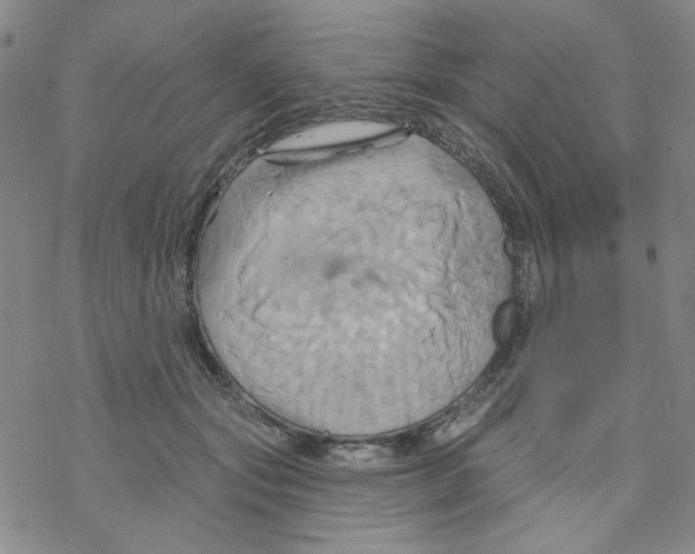 X0000068320557200605192036