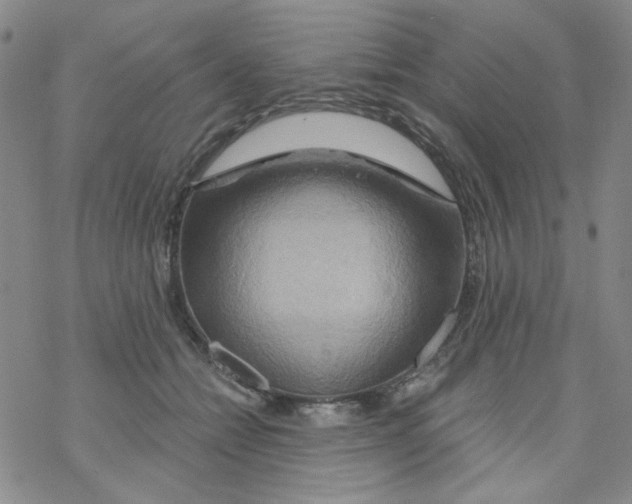 X0000068320558200605192036