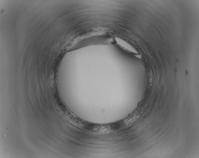 X0000068320559200605192036