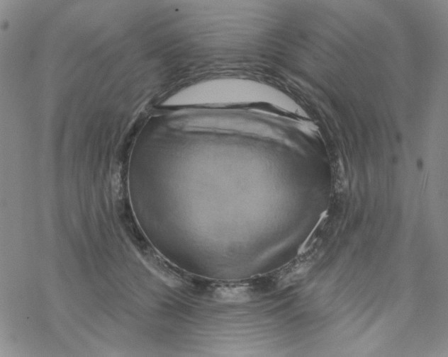 X0000068320560200605192036