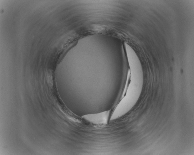 X0000068320562200605192036