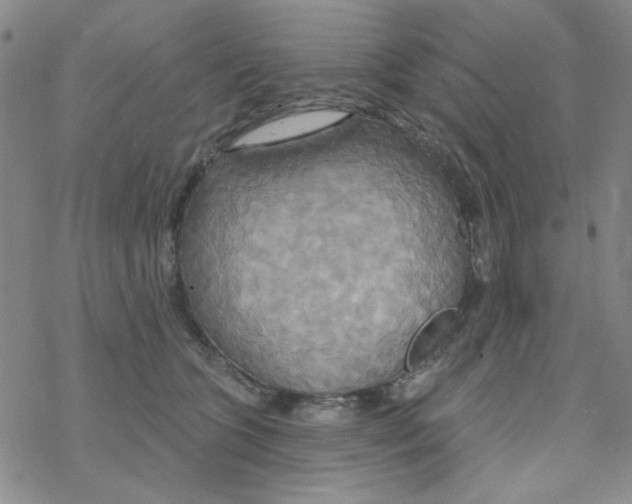 X0000068320563200605192036