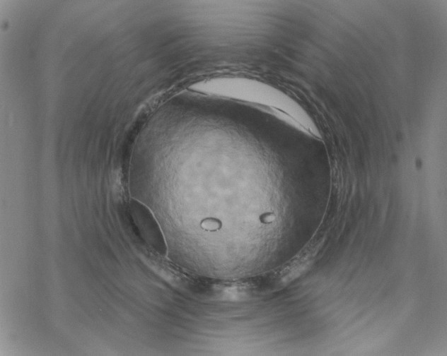 X0000068320564200605192036