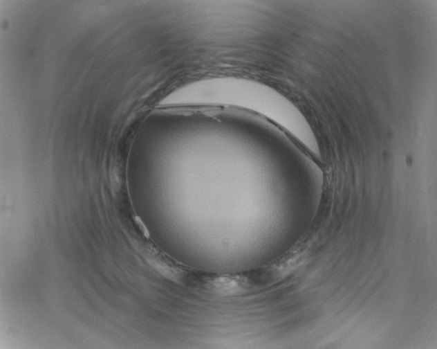 X0000068320566200605192036