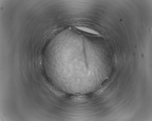 X0000068320567200605192036