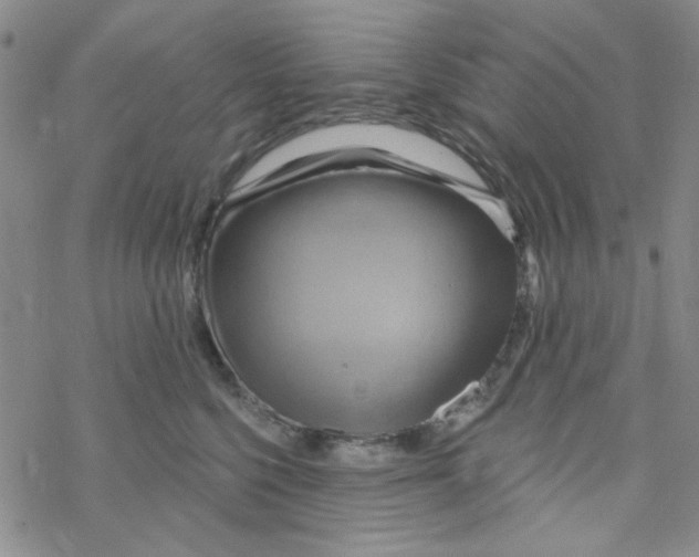 X0000068320568200605192036