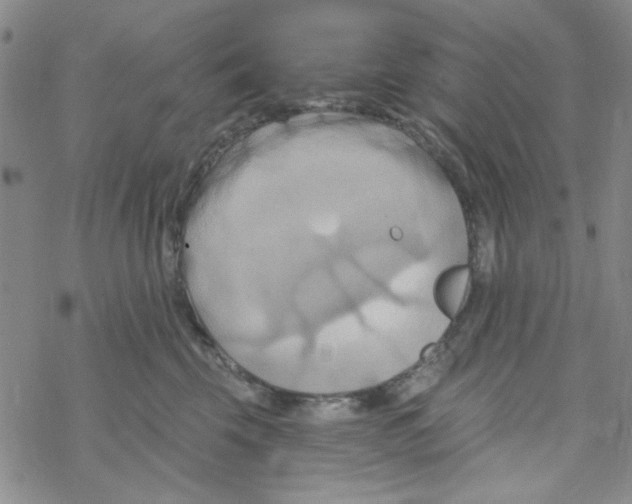 X0000068320569200605192036