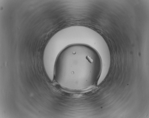 X0000068320570200605192036