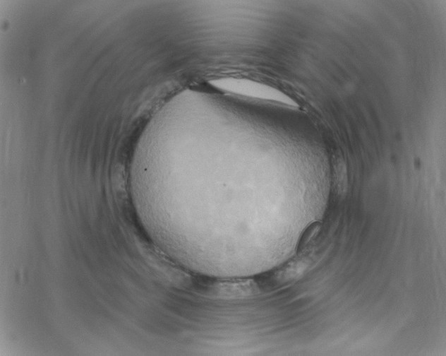 X0000068320571200605192036