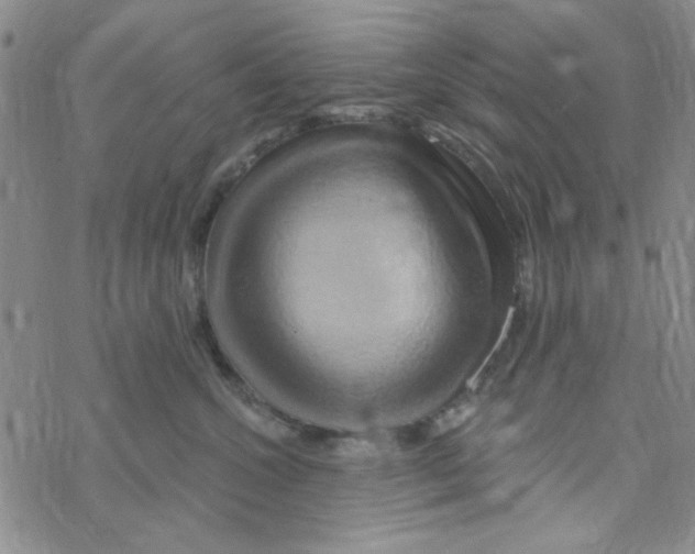 X0000068320572200605192036