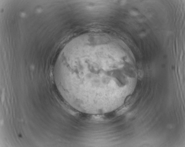 X0000068320573200605192036