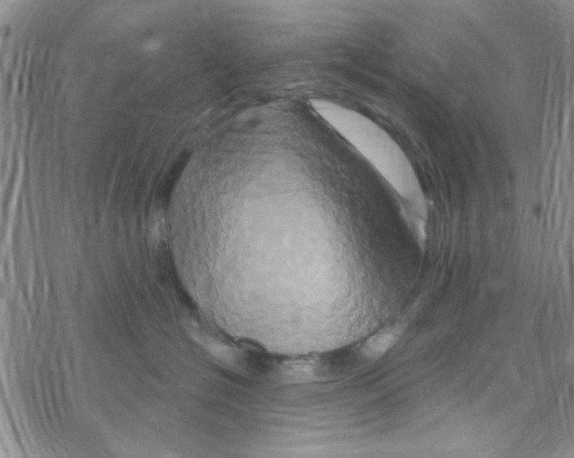 X0000068320574200605192036