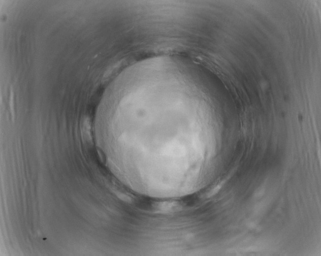 X0000068320575200605192036