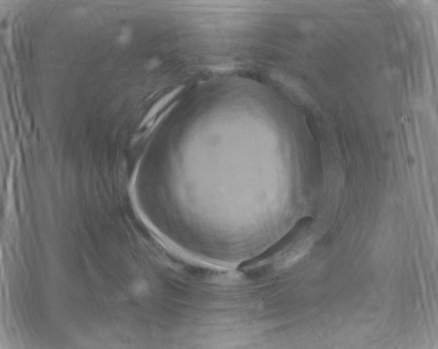 X0000068320576200605192036