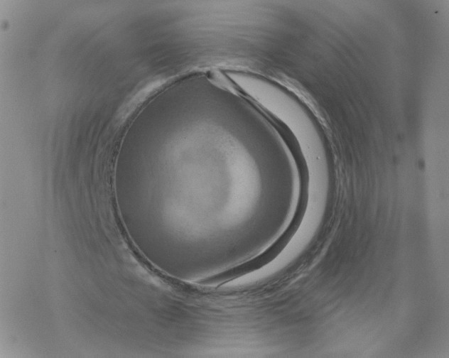 X0000068320577200605192035